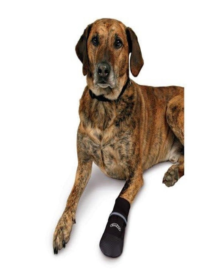 Trixie Walker Care Comfort Protective Dog Boots (XL) - Image 4